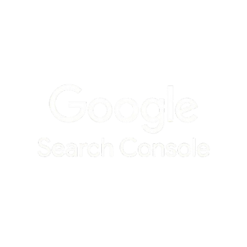 Google search console